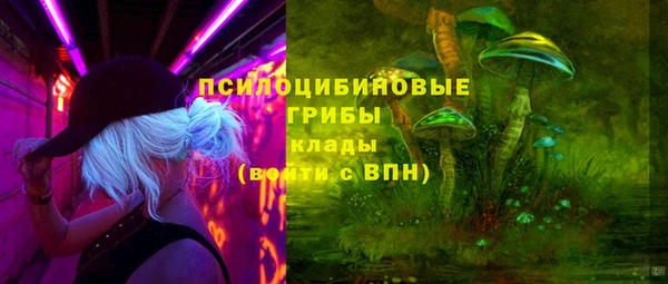 мдпв Горно-Алтайск